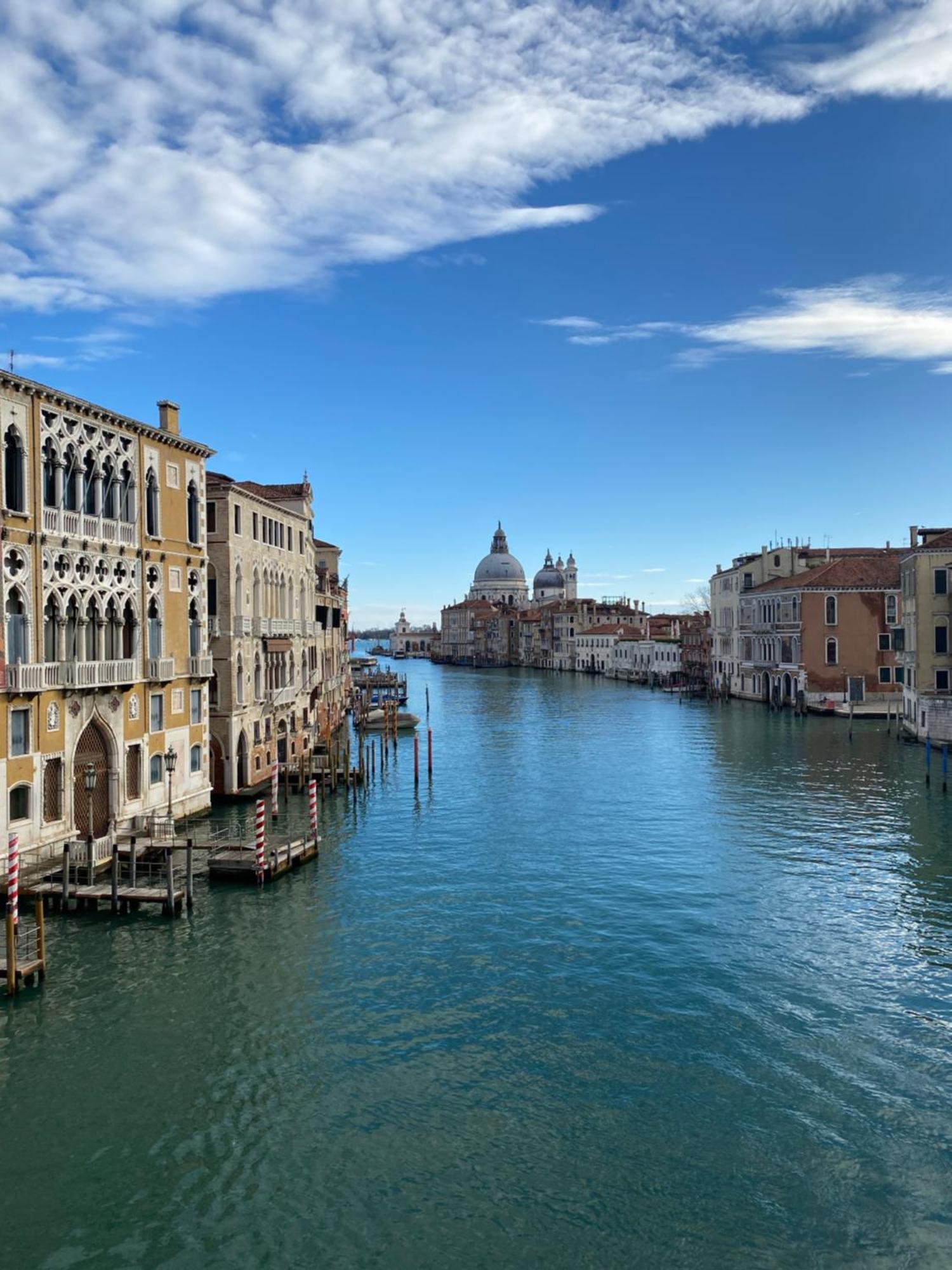 Wow Garden In The Heart Of Venice Luaran gambar